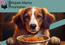 En İyi Köpek Maması Markaları