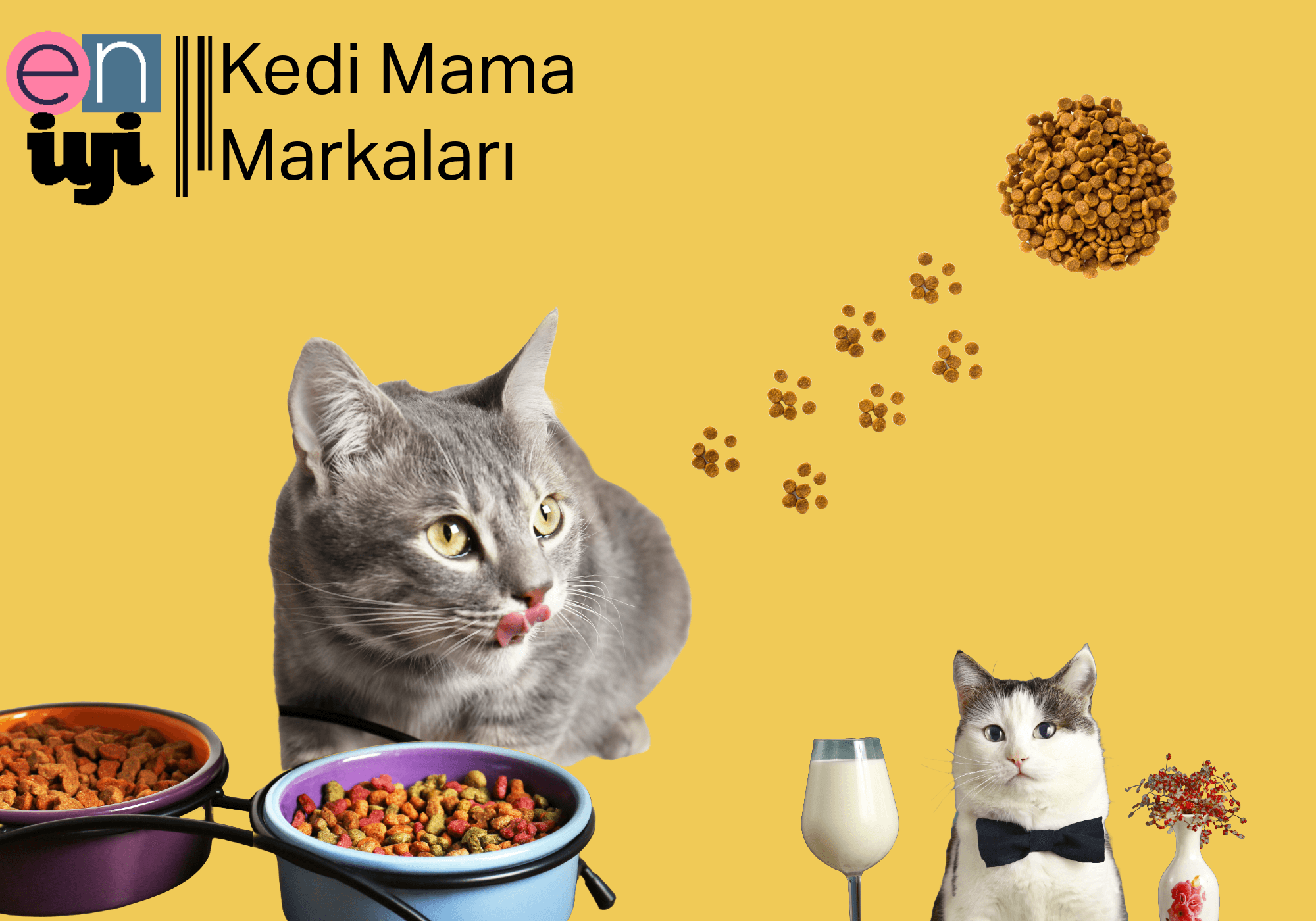 2025 Yılının En İyi Kedi Mama Markaları